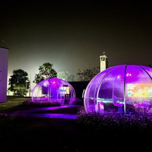 Aspettando il Festival del Futuro di Brescia